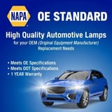 NAPA Lamps 1255H7N view 2