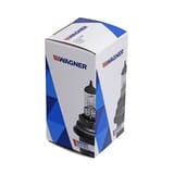 Wagner Lighting 9011 view 3