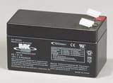 NAPA Batteries ES12A12 view 2