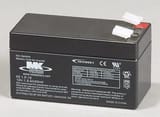 NAPA Batteries ES12A12 view 1