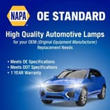 NAPA Lamps BP9006N view 3