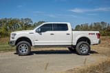 Oval Nerf Step | Crew Cab | Black | Ford F-150/Lightning/F-250/F-350/Raptor (15-26) view 3