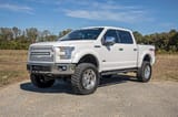 Oval Nerf Step | Crew Cab | Black | Ford F-150/Lightning/F-250/F-350/Raptor (15-26) view 5
