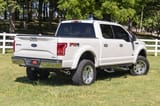 SRX2 Adj Aluminum Step | Crew Cab | Ford F-150/Lightning/F-250/F-350/Raptor (15-26) view 6