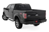 Nerf Steps | 3-Inch Tube | Crew Cab | Ford F-150 2WD/4WD (2009-2014) view 3