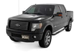 Nerf Steps | 3-Inch Tube | Crew Cab | Ford F-150 2WD/4WD (2009-2014) view 2