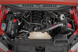 Cold Air Intake Kit | 5.0L | Ford F-150 2WD/4WD (2015-2020) view 3