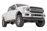 SF1 Fender Flares | YZ Oxford White | Ford F-150 2WD/4WD (2015-2017) view 2