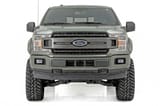 SF1 Fender Flares | BN Silver Spruce | Ford F-150 2WD/4WD (2018-2020) view 4