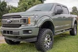 SF1 Fender Flares | BN Silver Spruce | Ford F-150 2WD/4WD (2018-2020) view 6