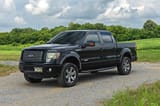 Nerf Steps | 3-Inch Tube | Crew Cab | Ford F-150 2WD/4WD (2009-2014) view 6