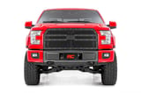 Mesh Grille | Ford F-150 2WD/4WD (2015-2017) view 2