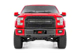 Mesh Grille | 30" Dual Row LED | Black Ser | Ford F-150 2WD/4WD (2015-2017) view 4