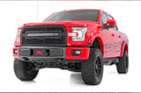 Mesh Grille | 30" Dual Row LED | Black | Ford F-150 2WD/4WD (2015-2017) view 4