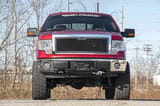 Mesh Grille | Ford F-150 2WD/4WD (2009-2014) view 2