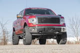 Mesh Grille | Ford F-150 2WD/4WD (2009-2014) view 3
