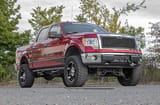 Mesh Grille | Ford F-150 2WD/4WD (2009-2014) view 4