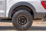 Rear Wheel Well Liners | Ford F-150 Raptor 4WD (2021-2026) view 4