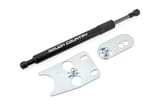 Tailgate Assist | Ford F-150/F-250/F-350 2WD/4WD (2015-2026) view 2