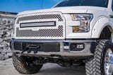 Hidden Winch Mount | Ford F-150 2WD/4WD (2015-2020) view 3