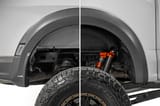 Rear Wheel Well Liners | Ford F-150 Raptor 4WD (2021-2026) view 2
