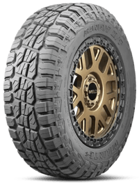 Delinte Bandit X/T DX20