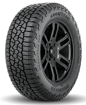 Goodyear Wrangler Workhorse AT 2 tire
