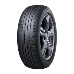 Dunlop Grandtrek PT21 tire