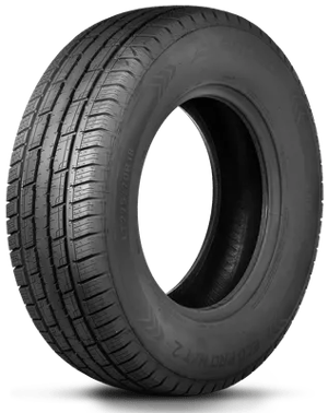 Arroyo Eco Pro H/T 2 tire