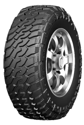 Leao Lion Sport M/T tire