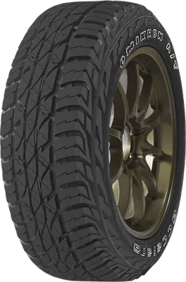 Accelera Omikron A/T tire