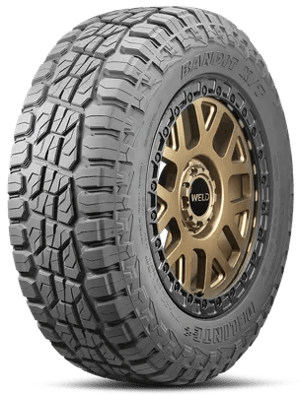 Delinte Bandit X/T DX20 tire
