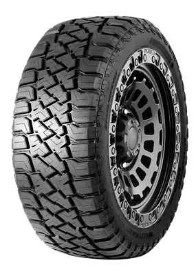 Landspider Wildtraxx R/T tire