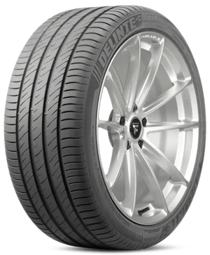 Delinte DS2 tire