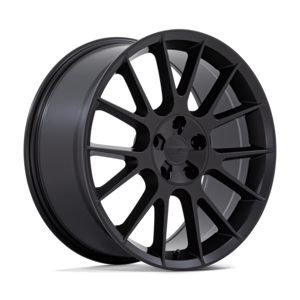 American Racing WWP2 wheel