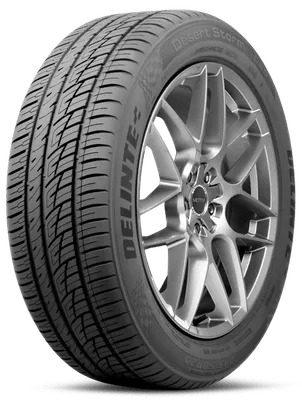 Delinte Desert Storm II DS8 tire