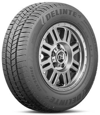 Delinte Centurion 365 LMD tire