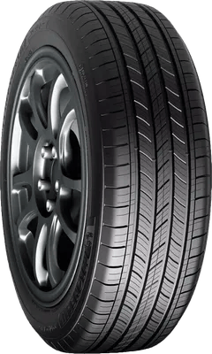 Michelin Primacy All Season tire
