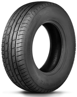 Arroyo Eco Pro H/T 2 tire