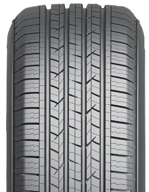 Royal Black Touring HP tire
