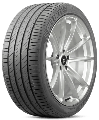 Delinte DS2 tire