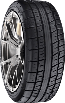 Uniroyal Power Paw A/S tire
