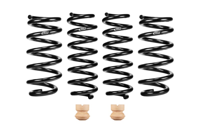 Eibach E10-201-005-03-22 Set of 4 Springs