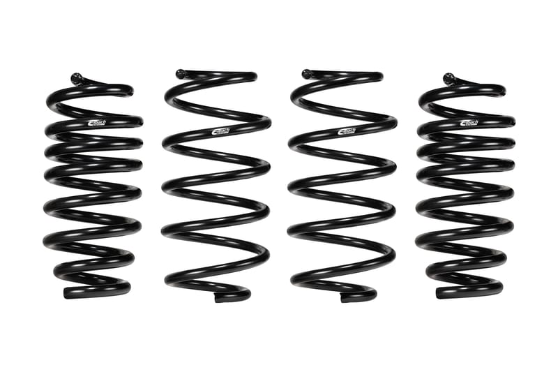 Eibach E10-35-051-02-22 Set of 4 Springs