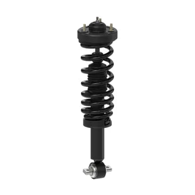Monroe Quick-Strut 173124