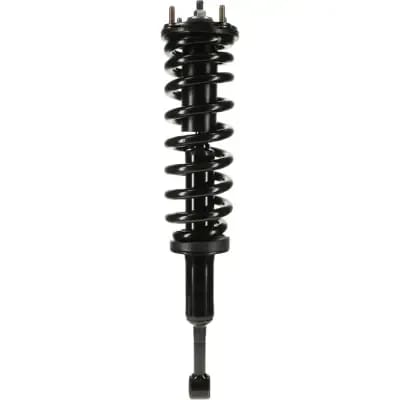 NAPA Shocks 153032R
